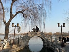 -济南大明湖景区