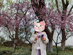 -金鸡湖桃花岛