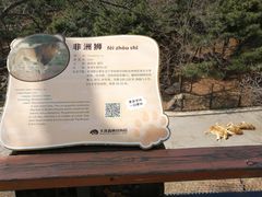 -大连森林动物园