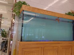 -格林豪泰酒店(北京北苑路北地铁站航空总医院店)