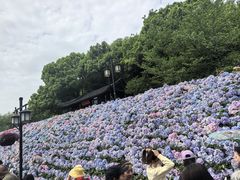 -苏州上方山国家森林公园