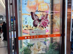 -白玉兰食品(中山公园龙之梦店)