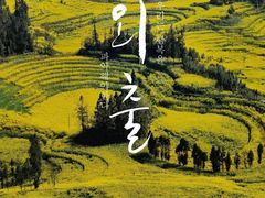 -牛街螺丝田