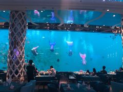 -瑞德姆美人鱼海底演艺主题餐厅(亚龙湾店)