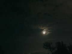 -长虫山生态公园风景林