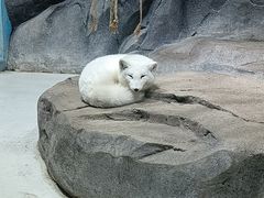 -海合安青岛极地海洋公园