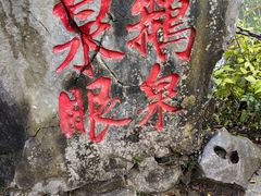 -靖西鹅泉风景区