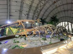 -辽宁古生物博物馆