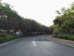 -大亚湾红树林城市湿地公园