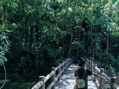 -溪口-滕头旅游景区