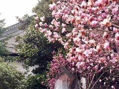 -扬州瘦西湖汇金酒店