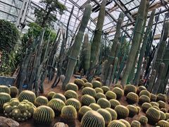 -南山植物园