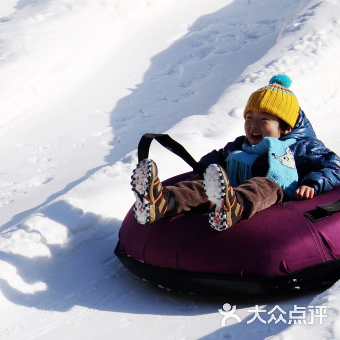 水滴大型冰河世纪主题冰雕大观园