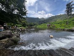 -广州市石门国家森林公园