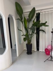 -Hello Lady发型设计