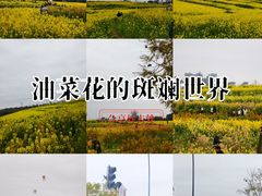 -三圣花乡旅游区