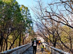 -阳台山自然风景区