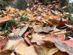 -终南山南五台景区