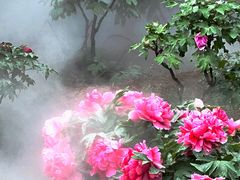 -北京西山国家森林公园