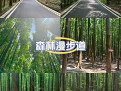 -山王坪喀斯特国家生态公园
