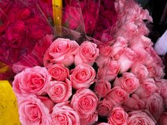 -循礼门鲜花花市(武汉循礼门店)