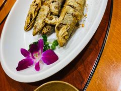 -海拉尔蒙古包(房山长阳总店)