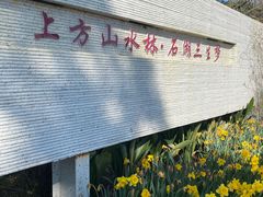-苏州上方山国家森林公园
