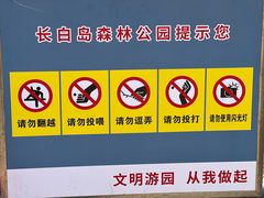 -长白岛森林公园