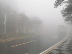 -庐山风景区花径公园