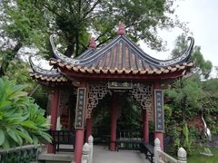 -碧江金楼