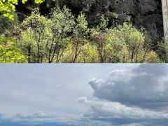 -牛背梁国家森林公园