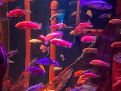 -沈阳海洋探索中心