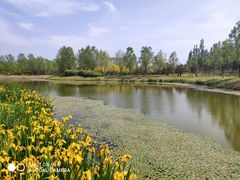 -东郊湿地公园