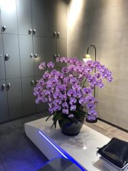 -SEBASTIAN塞巴斯汀