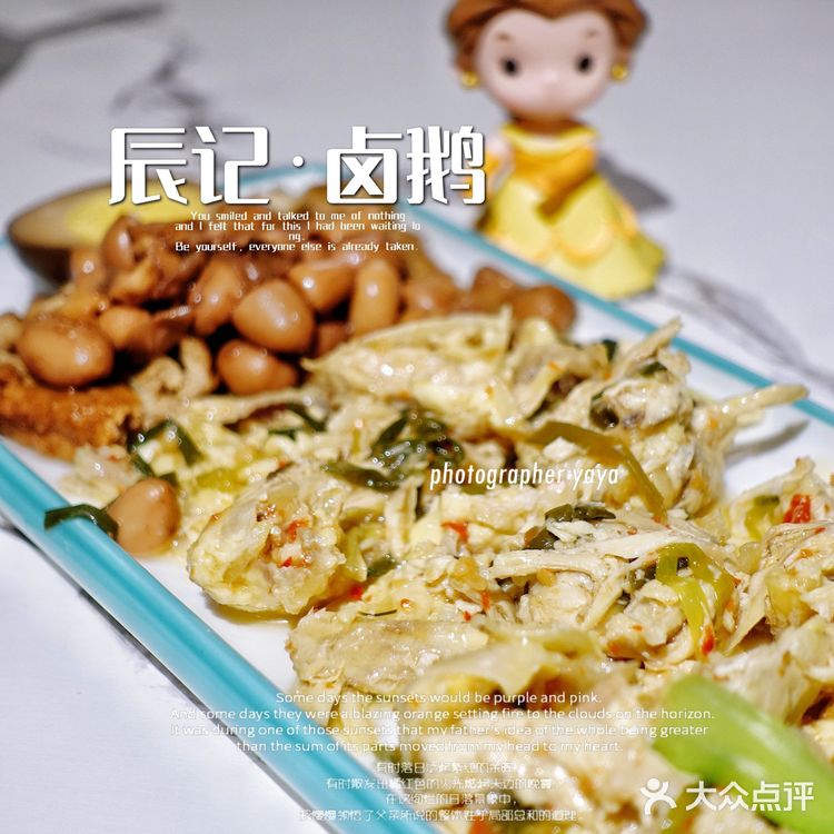 辰记 卤鹅｜藏着“世界鹅王”狮头鹅！