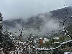 -安吉龙王山风景区