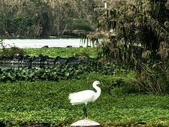 -阳澄湖半岛旅游度假区