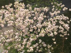 -苏州卫生职业技术学院(石湖校区)