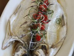 -蟹天蟹地农家菜·阳澄湖大闸蟹(浅水湾店)