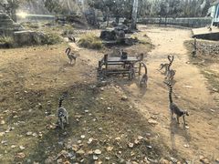-秦皇岛野生动物园