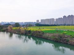 -三垟湿地