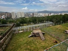 -青藏高原野生动物园