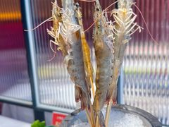 深水虾-泓炙颐凤鲜海鲜火锅料理(桐乡店)