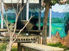 -苏州太湖国家湿地公园
