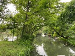 -西溪国家湿地公园