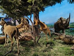 -国家自然博物馆