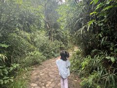 -南海湾森林生态园