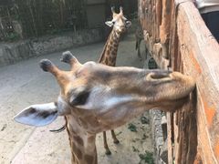 -长鹿旅游休博园