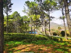 -南京老山国家森林公园