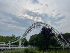 -上海共青森林公园